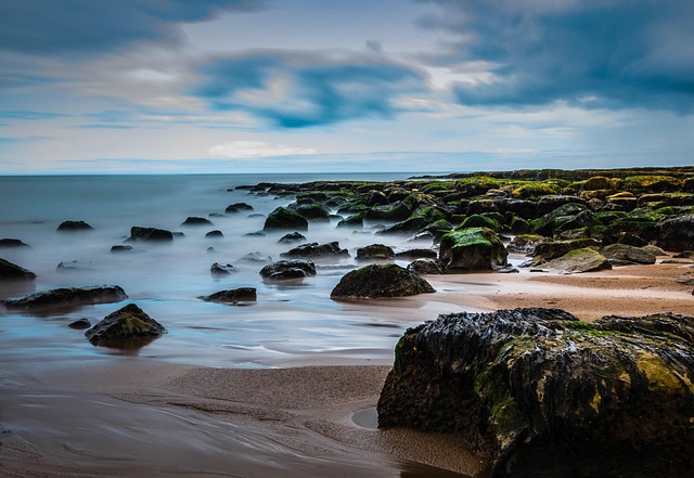 Berwick coastal view