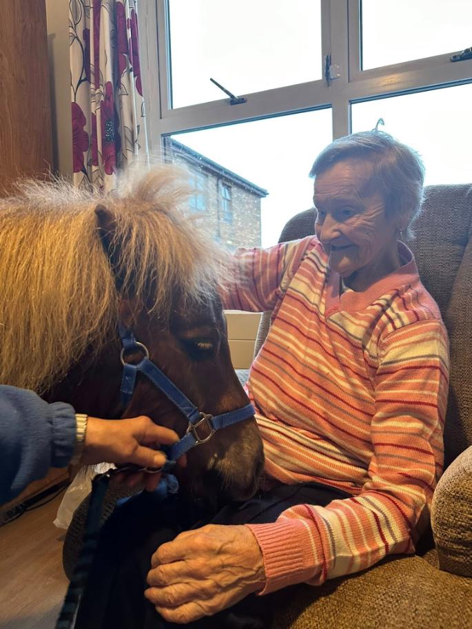 resident stroking the pony