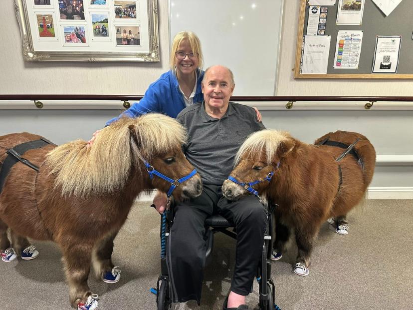 resident stroking the pony