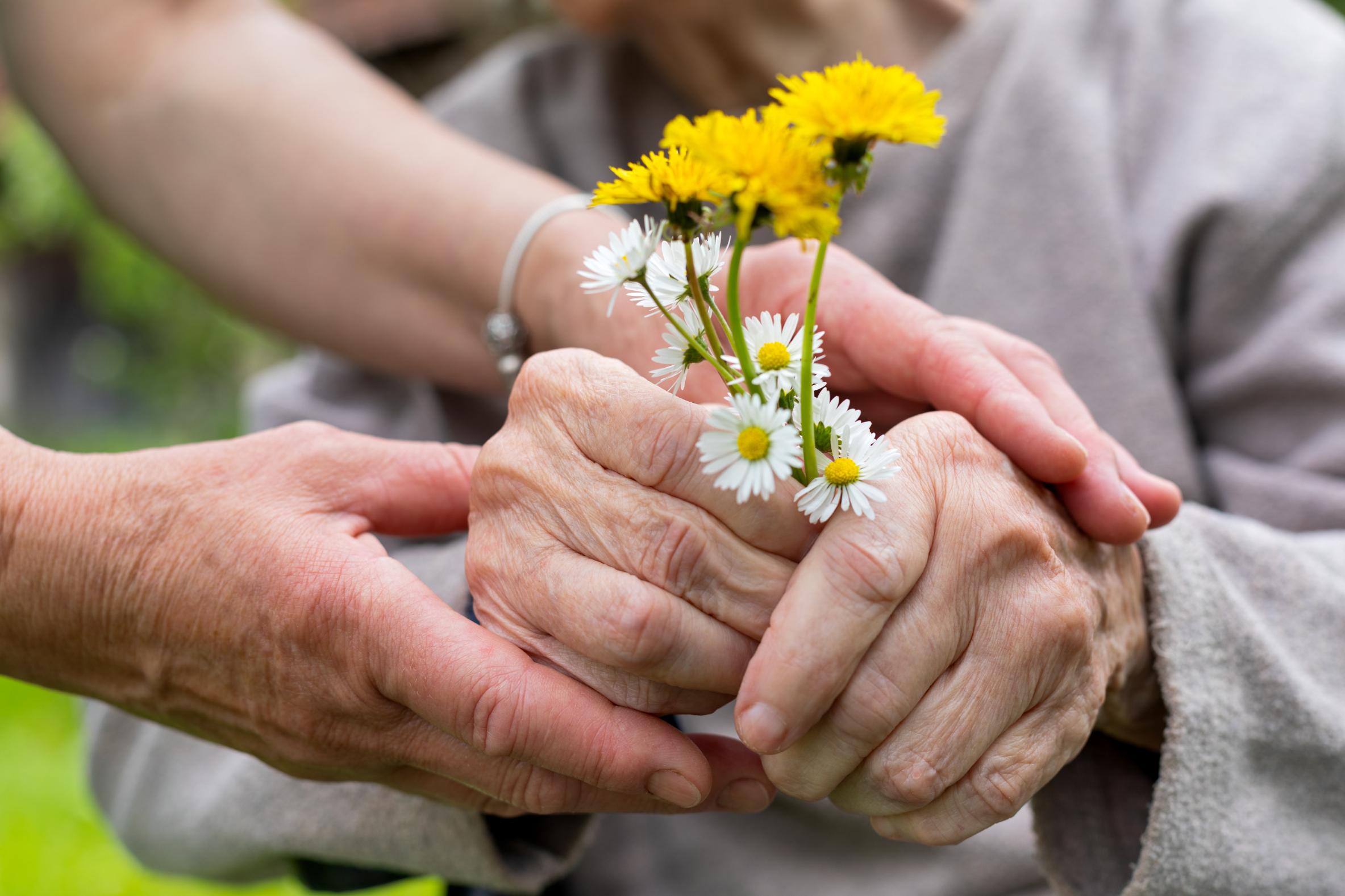 elderly persons hands holding a bunch of flowers
